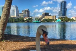 Orlando Date Night Guide