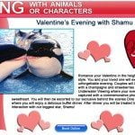 Shamu Valentine's Day
