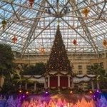 Date Night at Gaylord Palms ICE: A Guide for Grown Ups