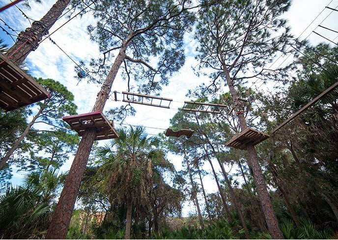 Zip podszewka w środkowej Florydzie w Treetop Trek w Brevard Zoo