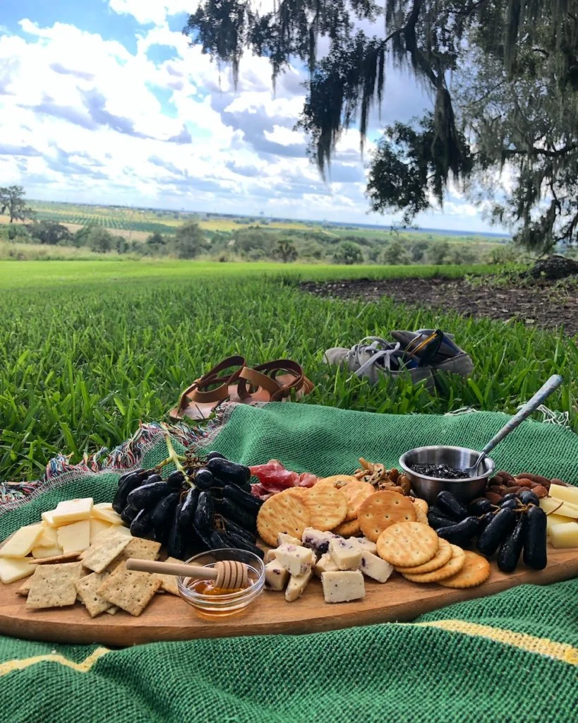 Picnic at Bok Tower Gardens