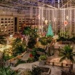 You’re Invited to Our Exclusive ICE! Sneak Peek Date Night at Gaylord Palms