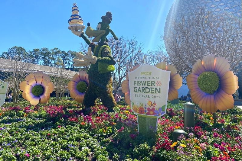 Goofy Topiary and Walt Disney World 50th Anniversary Celebration Cake 2022