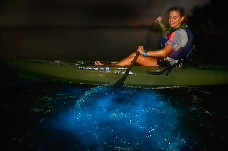 Woman bioluminescent kayaking