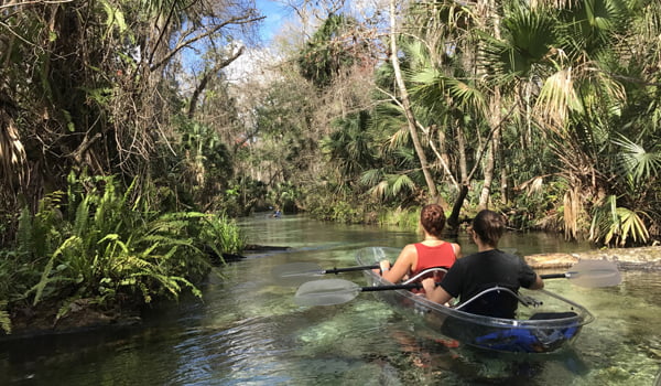 Explore Central Florida On A Clear Kayak Adventure