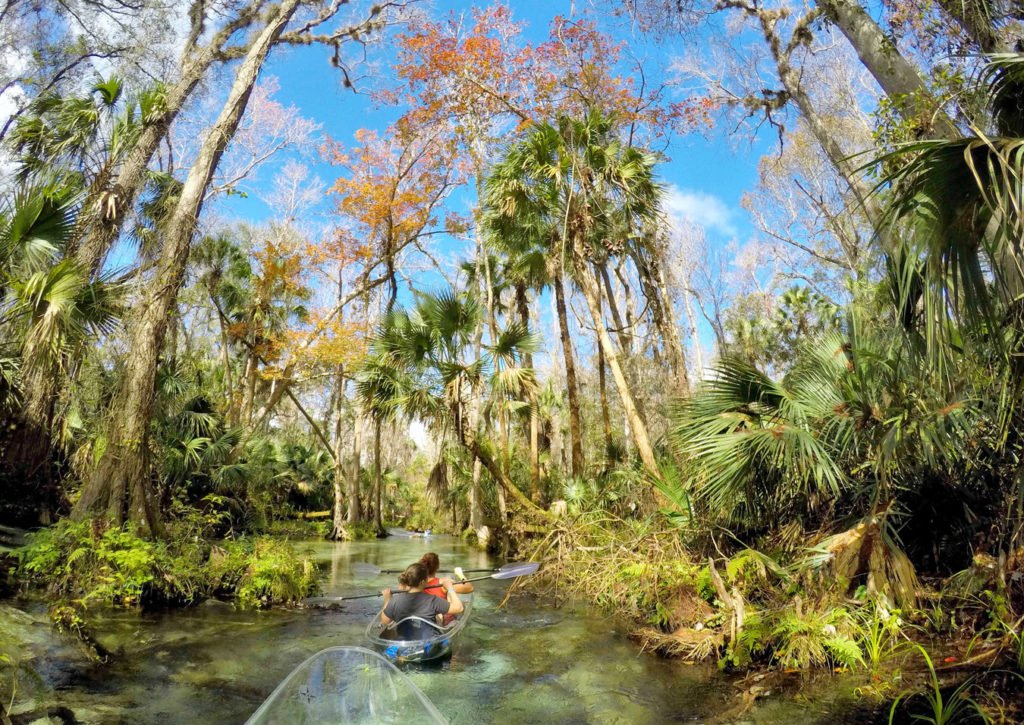 Exploring Rock Springs Run in Central Florida in a clear kayak
