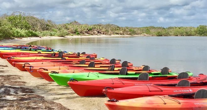 Paddle and a Pint Tour with A Day Away Kayak Tours
