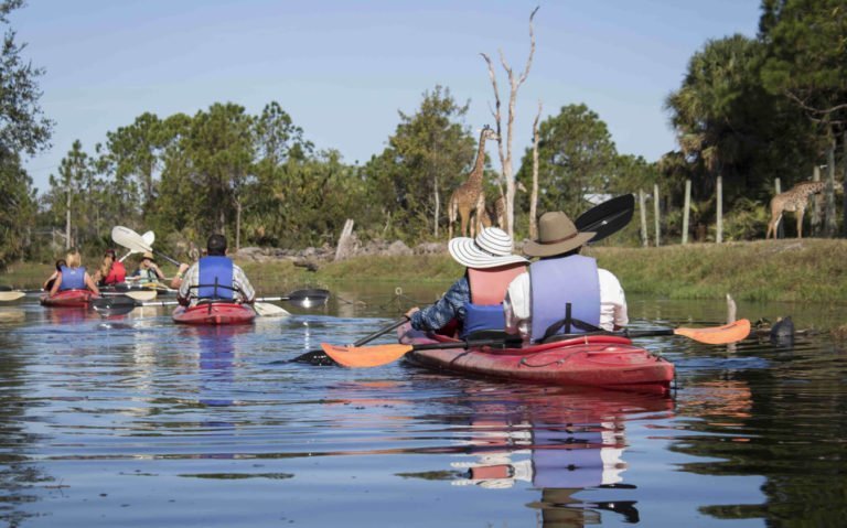 Central Florida Kayaking Adventures to Try This Summer