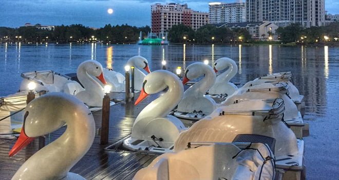 First Date ideas in Orlando - rent swan boats from Lake Eola