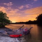 Central Florida Kayaking Adventures to Try This Summer