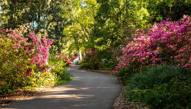 Central Florida Gardens You Can Visit For Free Near Orlando