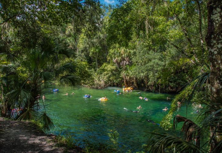 Tubing in Florida at Blue Spring State Park