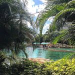A Discovery Cove Date Day