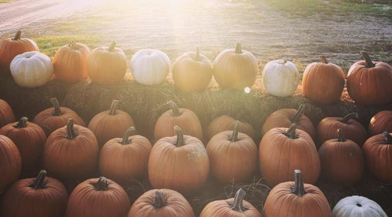 5 Festive Fall Date Night Ideas to Celebrate the Season