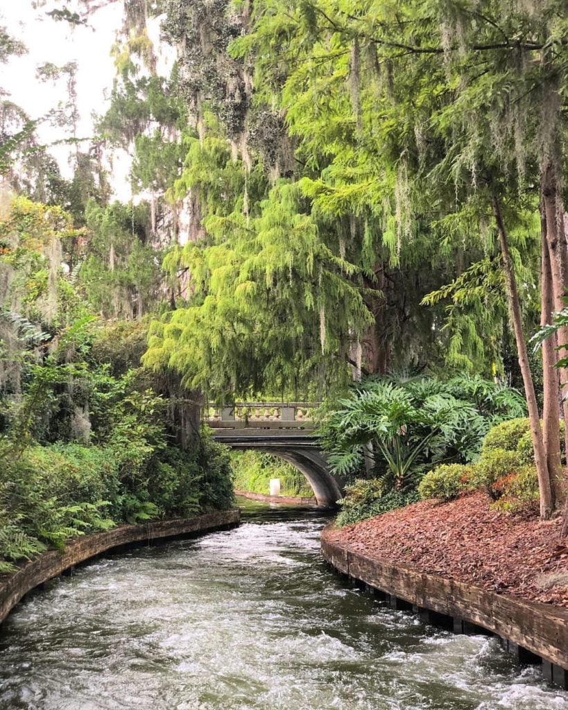 Your Guide to a Perfect Afternoon on Park Avenue Winter Park