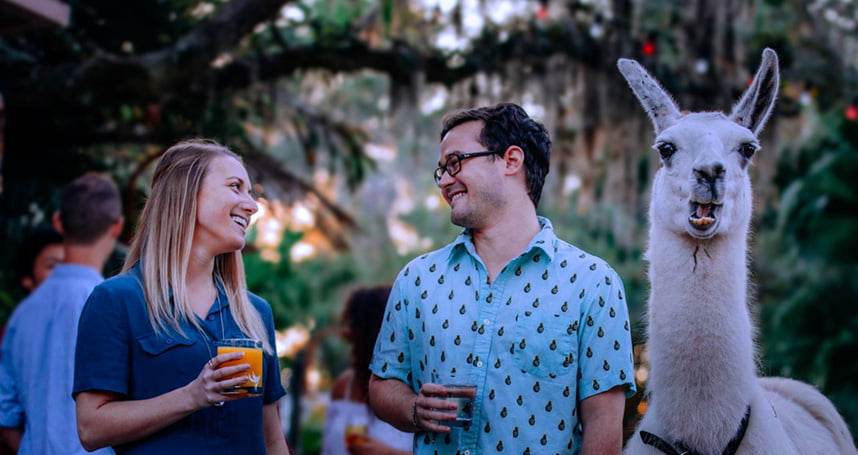 ZooBrews at ZooTampa March 2 2019