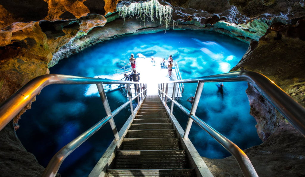 Devil's Den Spring  Williston, Florida, USA