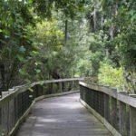 Secluded Hiking Spots in Central Florida (Perfect for Your Next Picnic)