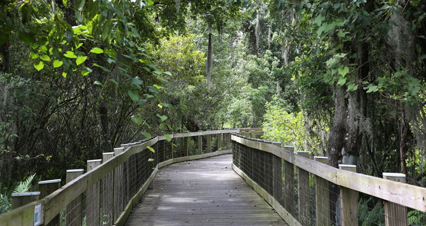 Secluded Hiking Spots in Central Florida Perfect for your next Picnic