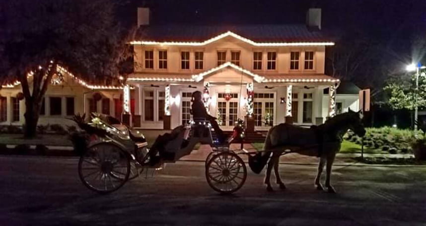 horse buggy rides near me