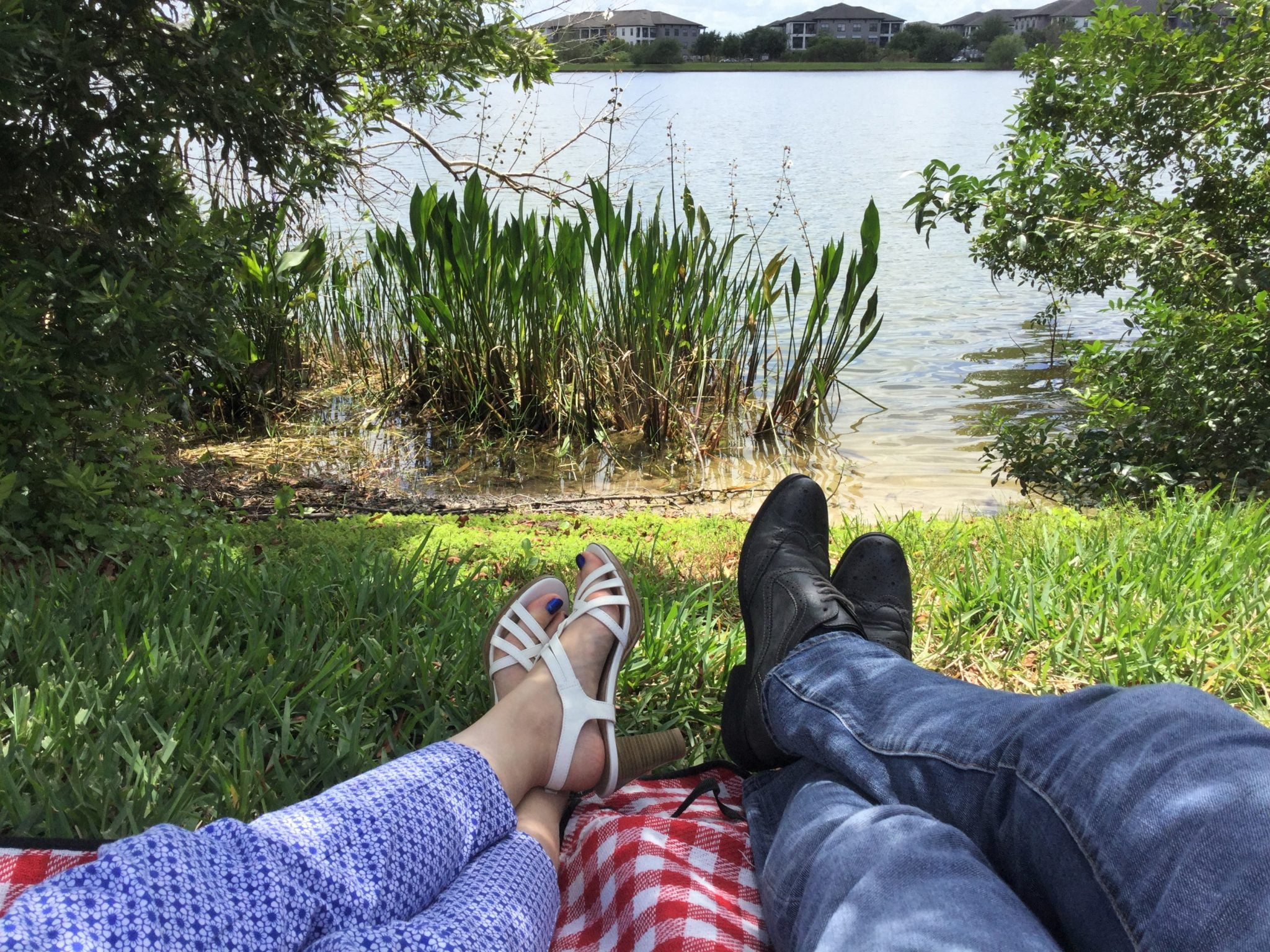 Everything You Need to Know to Plan a Romantic Orlando Picnic for Two