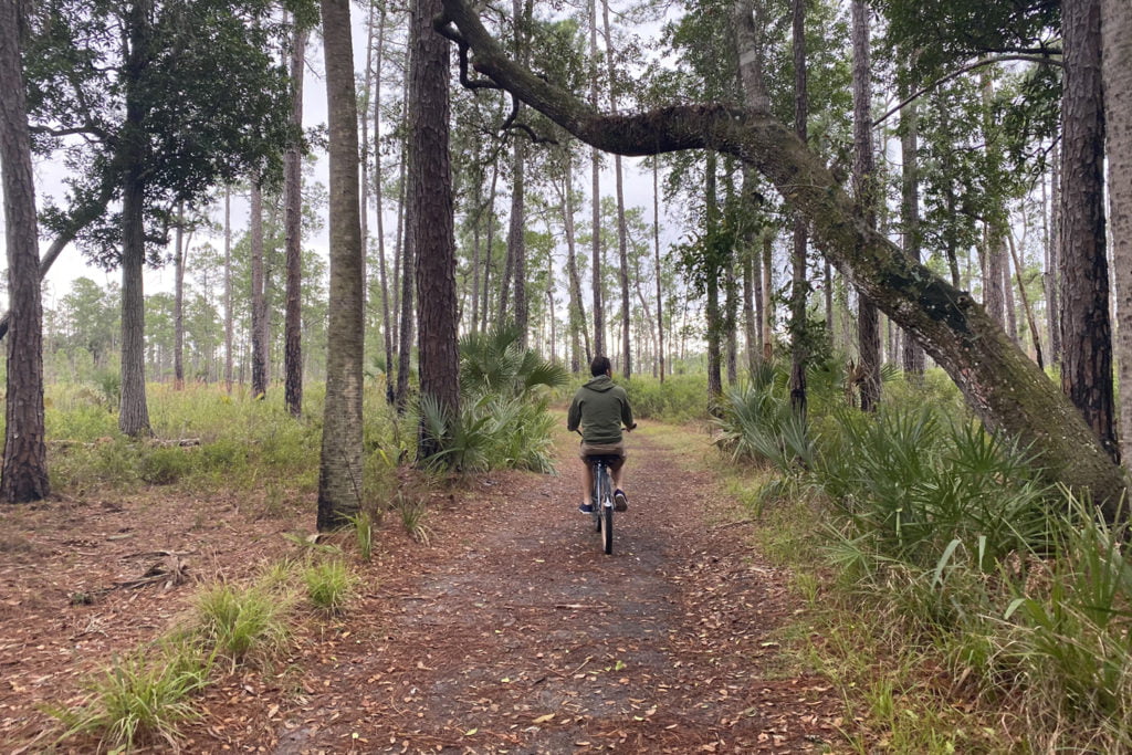 Biking Hontoon Island State Park