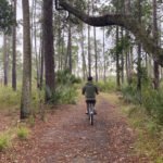 A Visit to Hontoon Island State Park: Central Florida's Island Escape