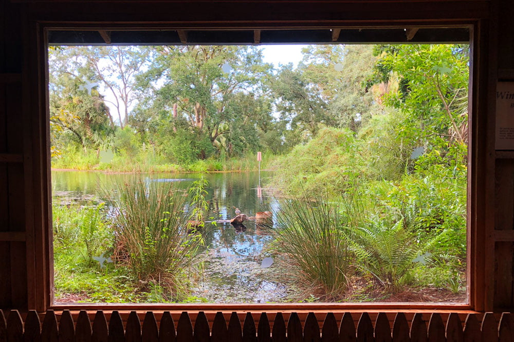 Window by the Pond at Bok Tower Gardens