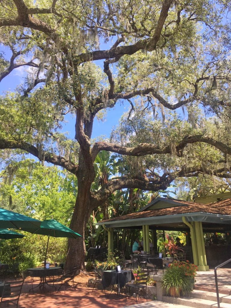 Outdoor Dining Guide 75+ Places to Eat Outside in Orlando