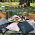 Everything You Need to Know to Plan a Romantic Orlando Picnic