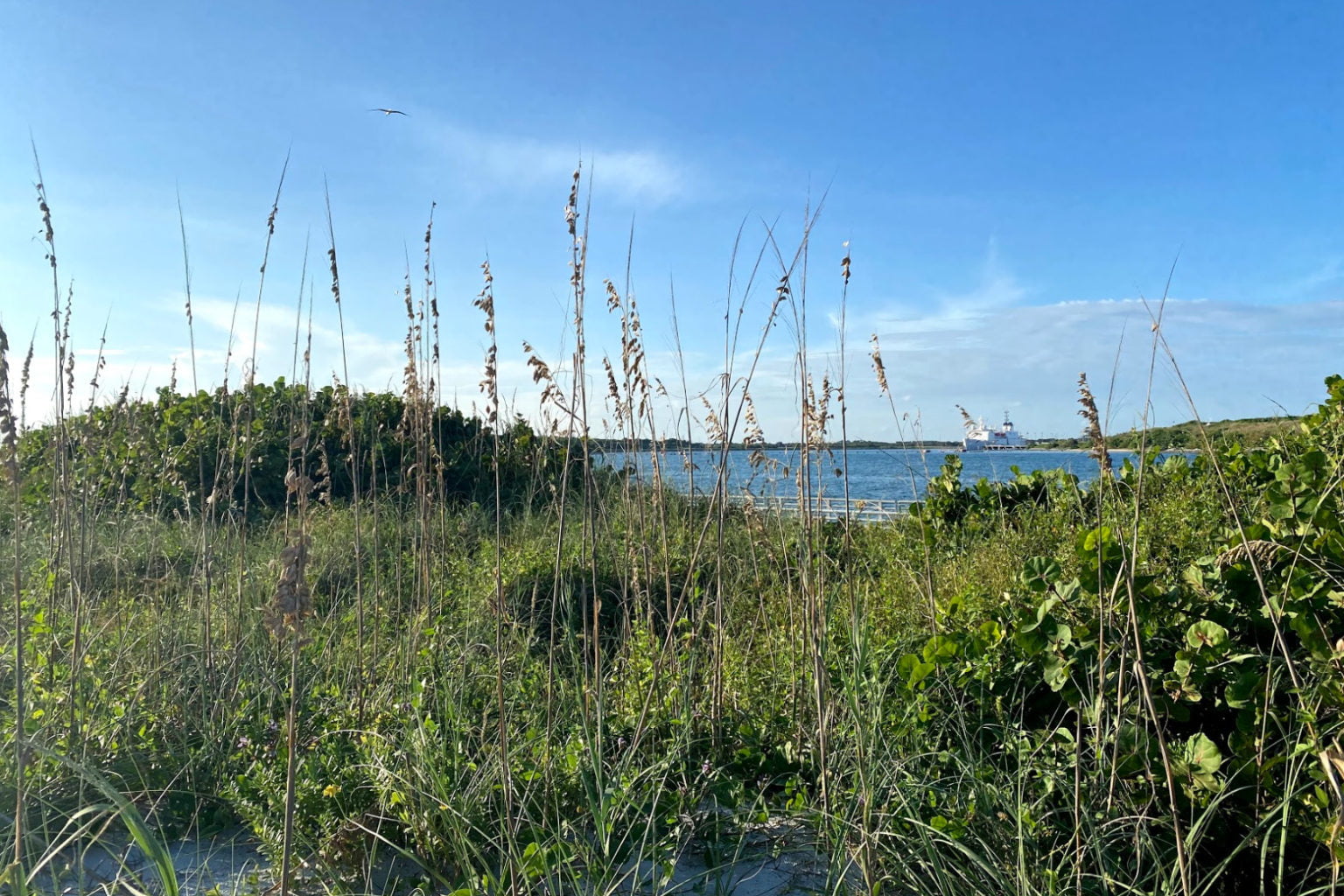 How to Plan a Beachside Camping Getaway at Jetty Park