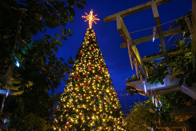 Top 10 Ways to Celebrate the Holidays in Winter Garden LaptrinhX / News