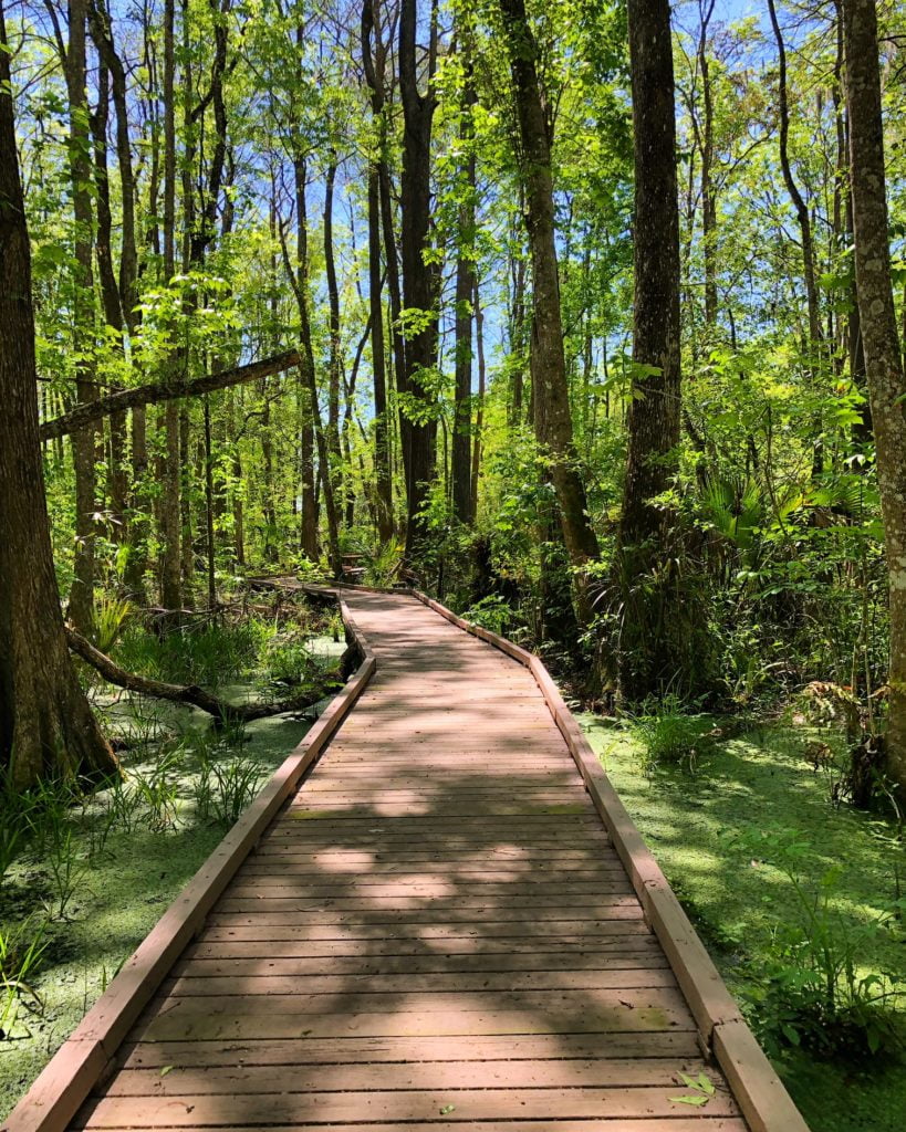 Boardwalk at Flat Island Preserve in Lake County, FL