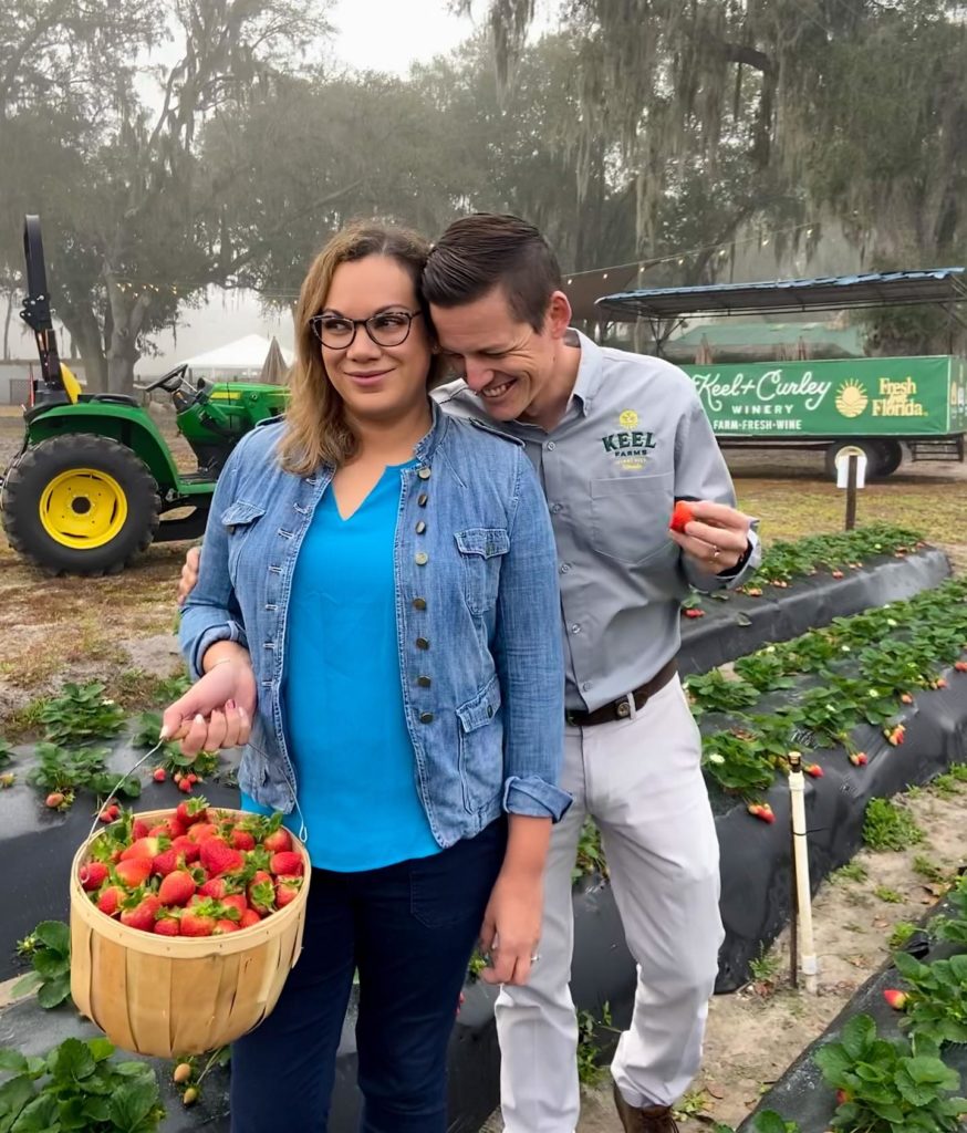 Strawberry u-pick at Keel Farms in Plant City, FL