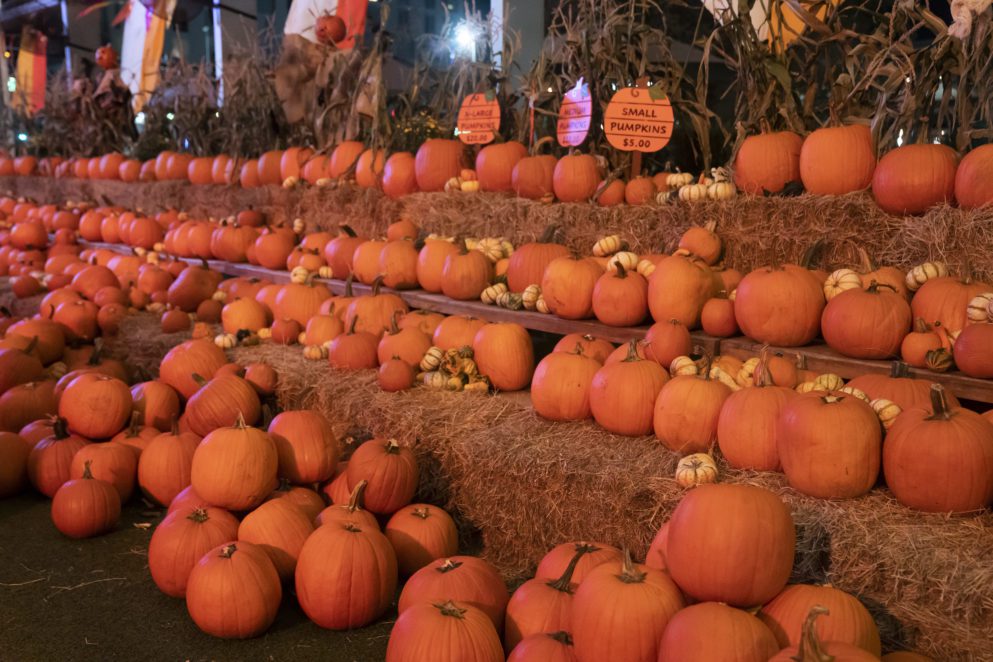 orlando-fall-festivals-pumpkin-patches-and-events-for-2022