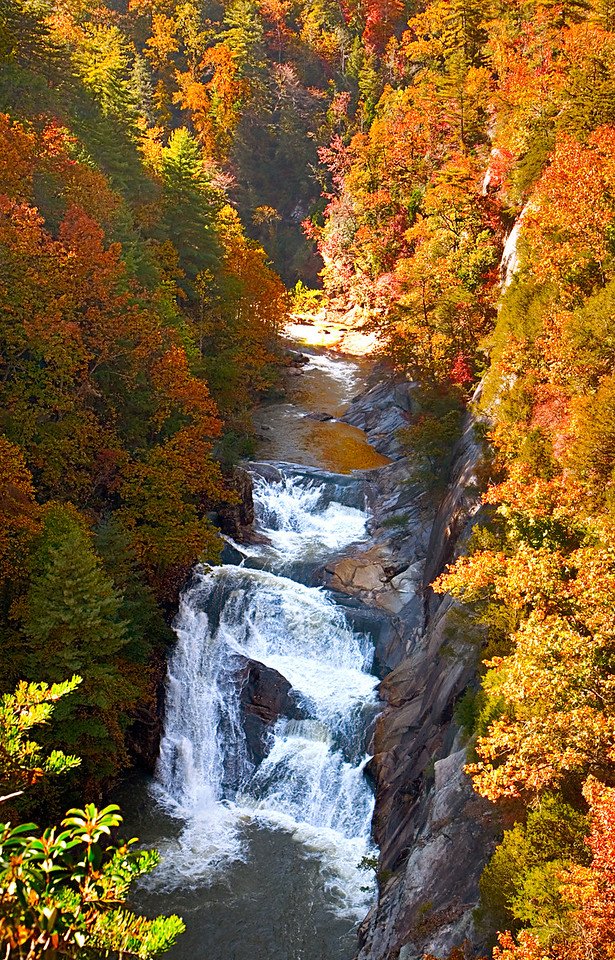 8 Scenic Fall Road Trips from Orlando to See Fall Leaves