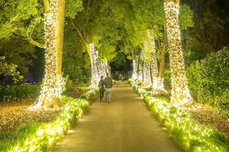 This Holiday Drone Light Show might be the coolest thing you'll see this  holiday season