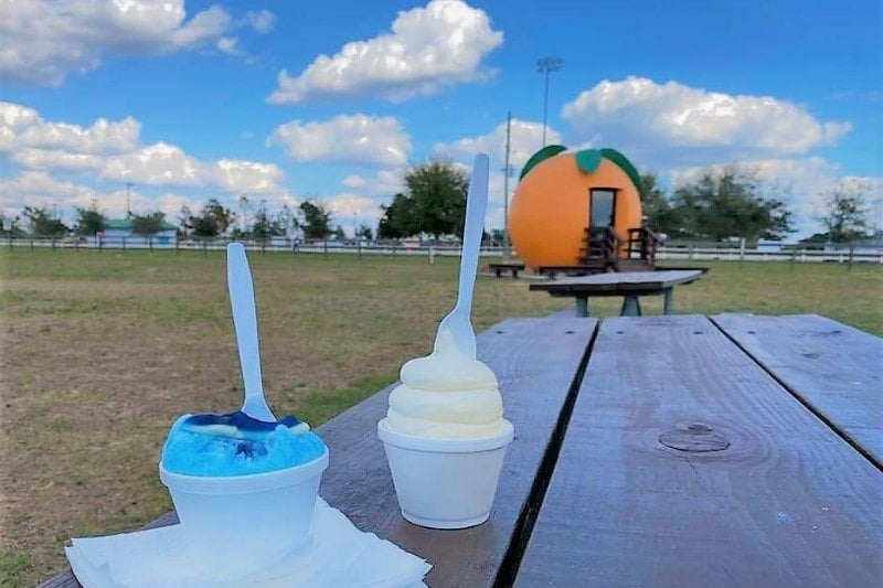 Sunsational Farms The Big Orange in the background with two cups of ice cream in the foreground