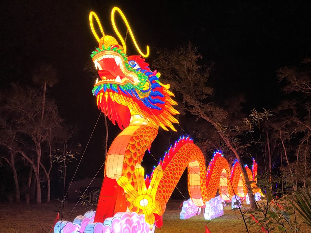A Luminous Date at the Central Florida Zoo Asian Lantern Festival
