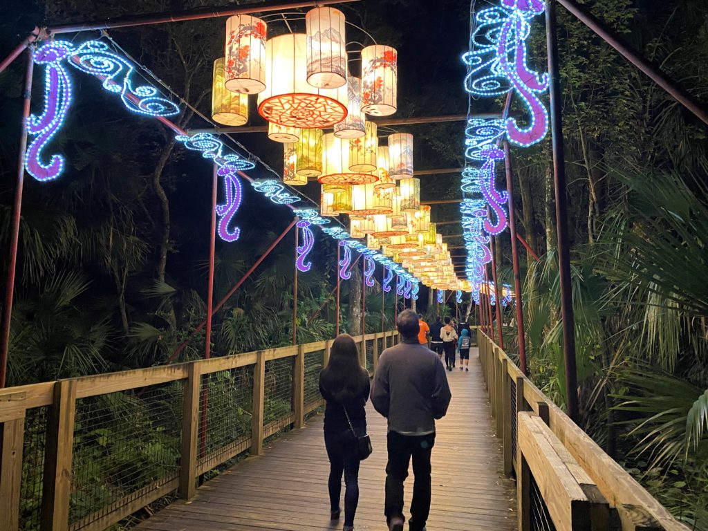 Lighted Walkway at Asian Lantern Festival at Central Florida Zoo 2021 - this photo is taken at night. A wooden boardwalk is illuminated from above with white asian lanterns and blue and purple lights along the sides toward the top. A couple dressed in jeans and long sleeve shirts have their back to the camera and are walking down the lighted boardwalk