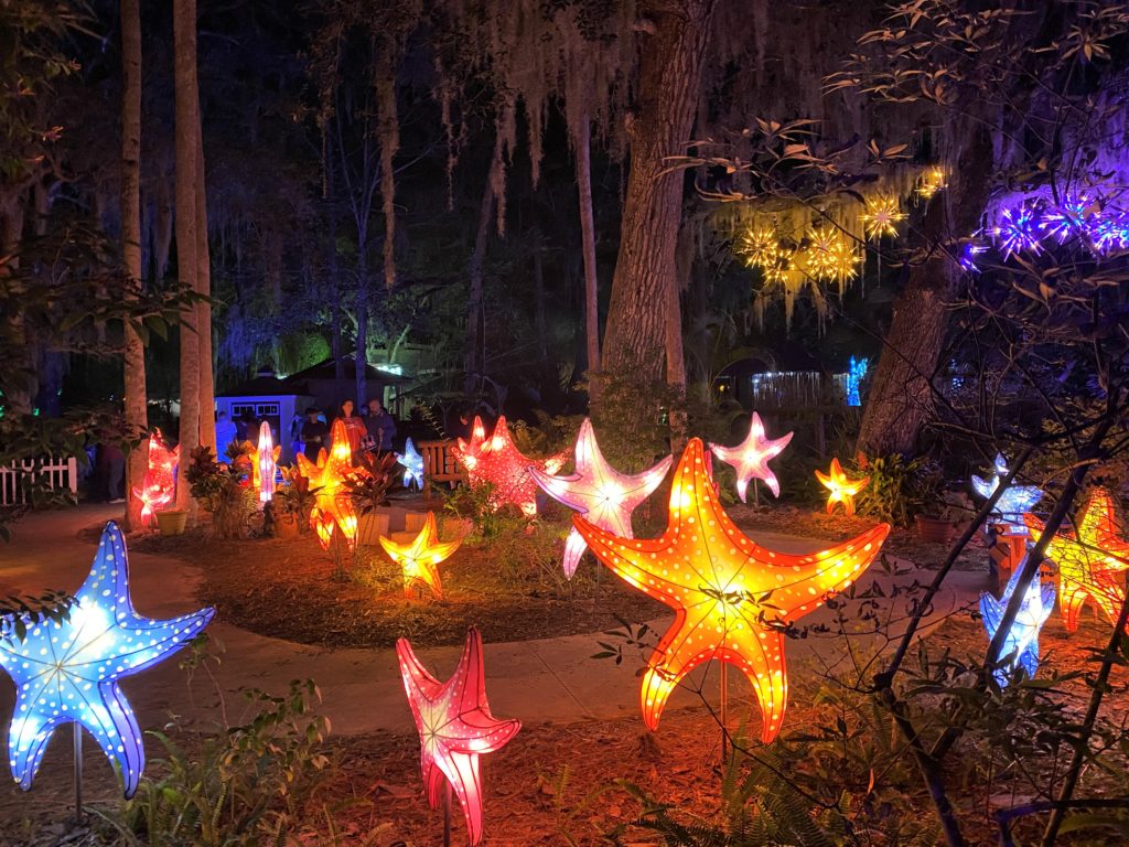 Starfish Walkway at Asian Lantern Festival at Central Florida Zoo 2021 is near the front of the lantern walkway and features orange, blue, and red starfish lanterns near ground level along a small circular pathway