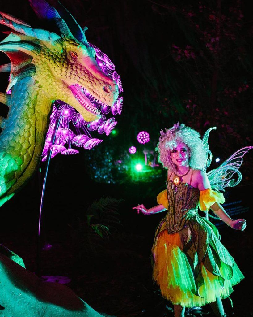 Creative City Project Dragons and Fairies at Leu Gardens