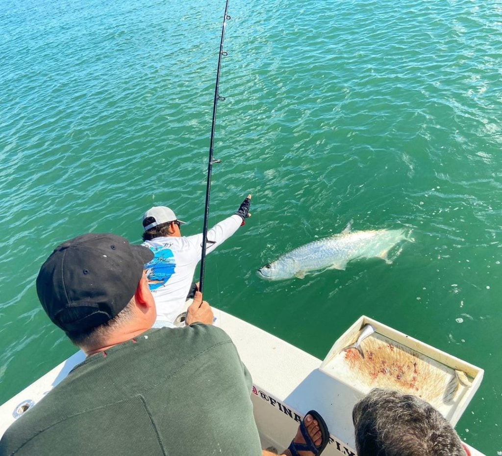 Fin and Fly Fishing Charters - a man holds a long fishing pole over the edge of a boat while a second man helps to reel in a large silver fish in in turquoise ocean water