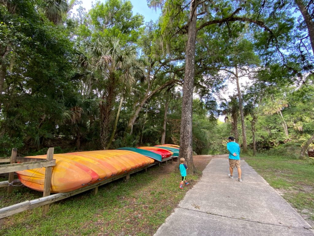 FloVibez Canoe and Kayak Rental at Hillsborough River State Park