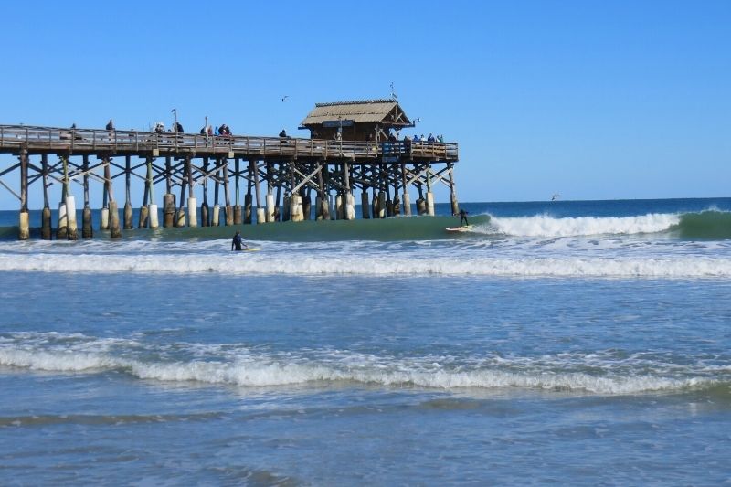 are dogs allowed on beaches in cocoa beach fl