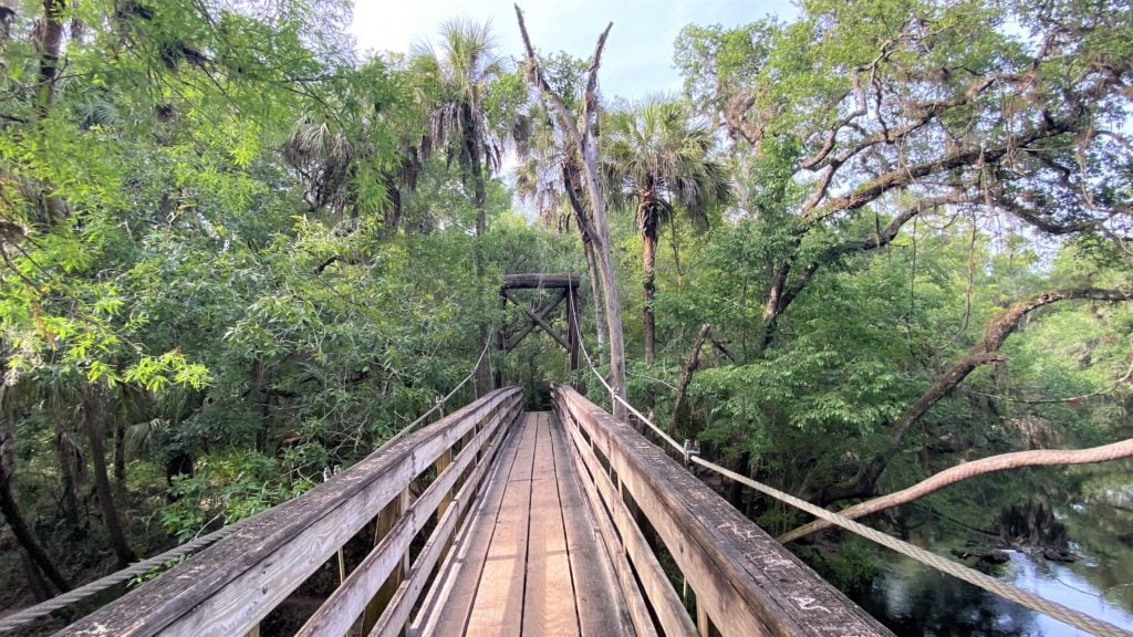 Suspension Bridge at Hillsborough River State Park