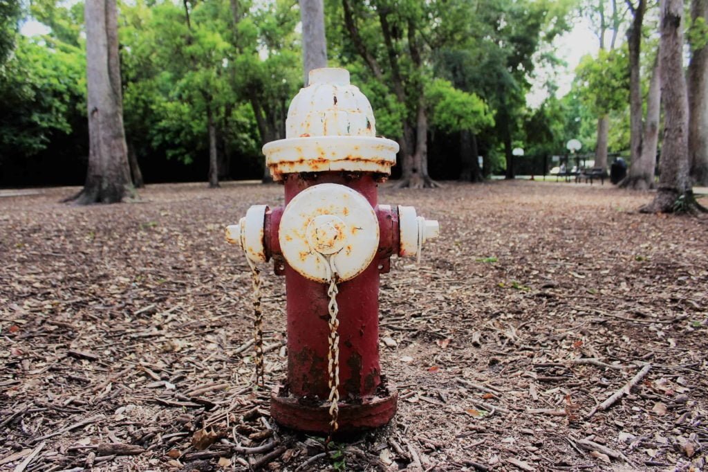 Pawmosa Park Casselberry Fire Hydrant and Trees 