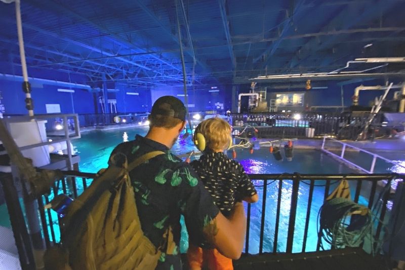 Sea Life Aquarium Orlando - Behind the Scenes Tour