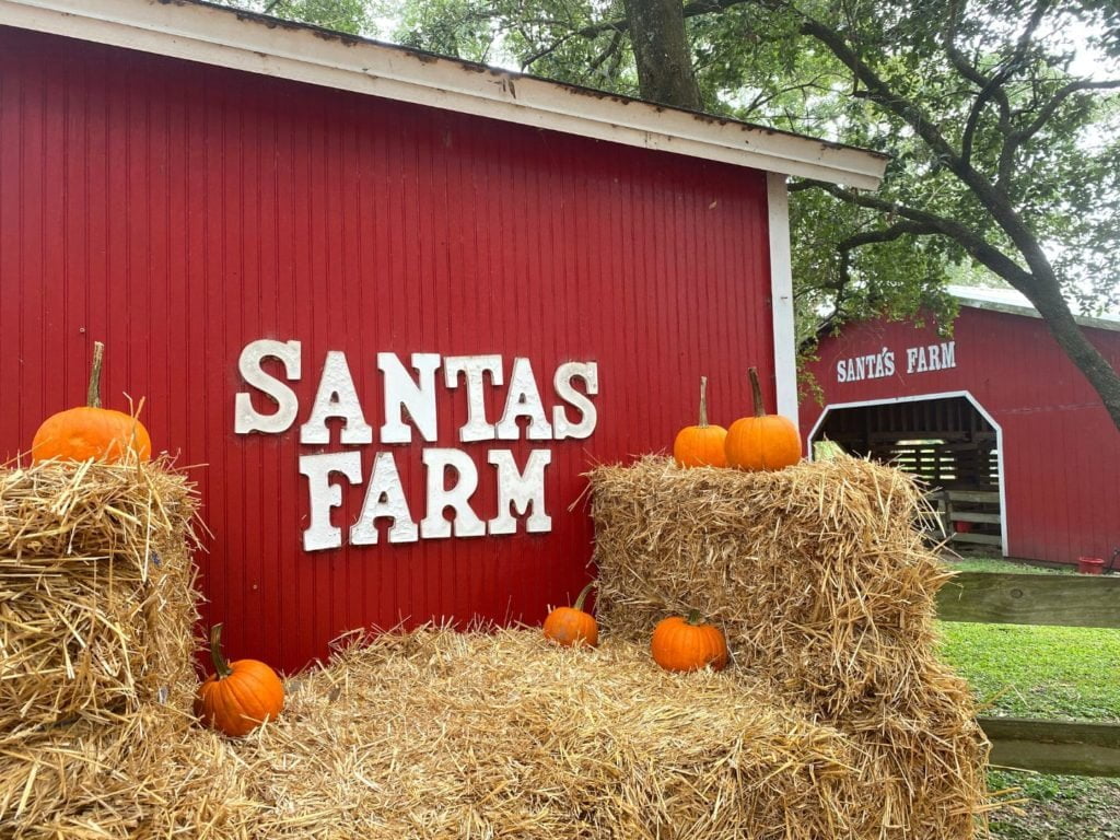 a red barn and pumpkins at Santa's Farm Pumpkin Patch Eustis near Orlando