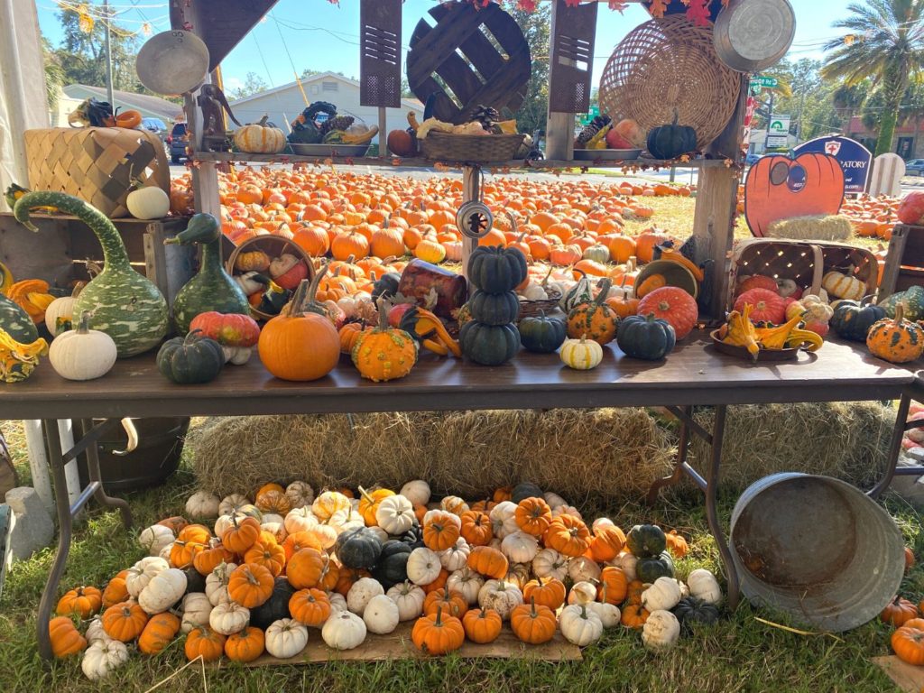 10 Adorable InstagramWorthy Pumpkin Patches in Orlando